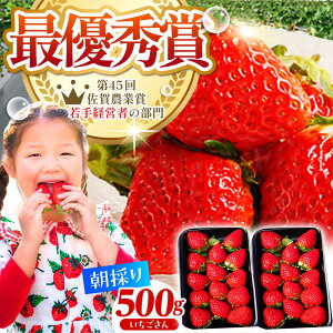 yӂ邳Ɣ[Łzy2`4zE  500g (  250g 2pbN ) yނ炨_z [HAF021] / Hi t[c ʕ    ق̂ uh 