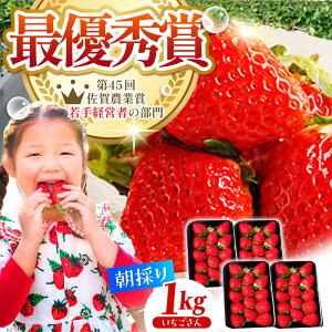 yӂ邳Ɣ[Łzys\zy2`4zE݂  1kgi250g×4pbNj  C`S  | ꌧ ]k |yނ炨_z[HAF023]
