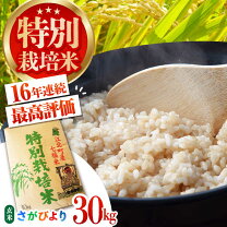楽天市場】さがびより 玄米 30kgの通販