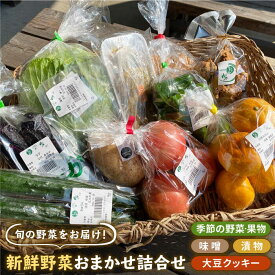 【ふるさと納税】新鮮野菜・加工品 おまかせ詰め合わせ 【だいちの家】 [HAG015]