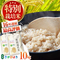 楽天市場】さがびより 玄米 30kgの通販