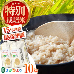 yӂ邳Ɣ[Łzߘa7NY V ʍ͔| т  10kg ỷƁz [HAG018]  A A]  