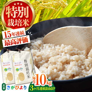 yӂ邳Ɣ[ŁzyS3ցzʍ͔| т  10kg ỷƁz [HAG019]