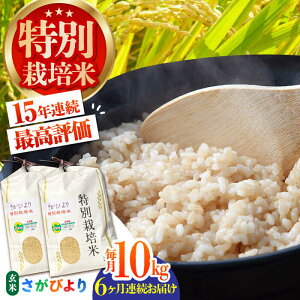 yӂ邳Ɣ[ŁzyS6ցzʍ͔| т  10kg ỷƁz [HAG020]