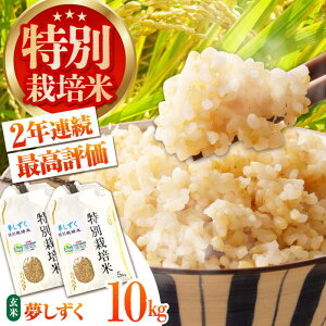 yӂ邳Ɣ[Łzߘa7NY V ʍ͔|āuv10kgỷƁz[HAG023] / A A] 