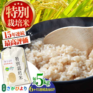 yӂ邳Ɣ[ŁzyS6ցzʍ͔|āuтv 5kg ỷƁzA A][HAG029]