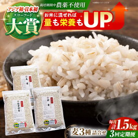 【ふるさと納税】【全3回定期便】麦詰合 1.5kg ( 500g 3種 ) 江北町産 サチホゴールデン 【葦農】 [HAJ031]