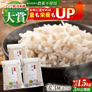 yӂ邳Ɣ[ŁzyS3ցzl 1.5kg ( 500g 3 ) ]kY T`zS[f y_z [HAJ031]