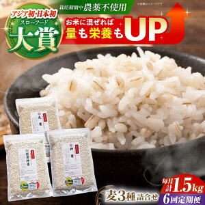 yӂ邳Ɣ[ŁzyS6ցzl 1.5kg ( 500g 3 ) ]kY T`zS[f y_z [HAJ032]