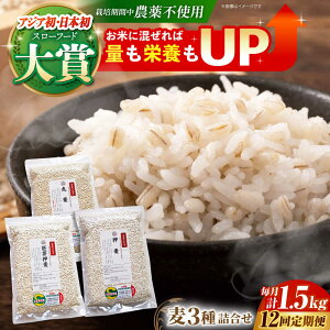 yӂ邳Ɣ[ŁzyS12ցzl 1.5kg ( 500g 3 ) ]kY T`zS[f y_z [HAJ033]