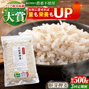 yӂ邳Ɣ[ŁzyS3ցz艟 500g ( 1gp ) ]kY T`zS[f y_z [HAJ034]