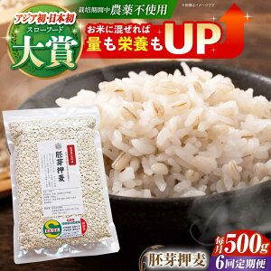 yӂ邳Ɣ[ŁzyS6ցz艟 500g ( 1gp ) ]kY T`zS[f y_z [HAJ035]
