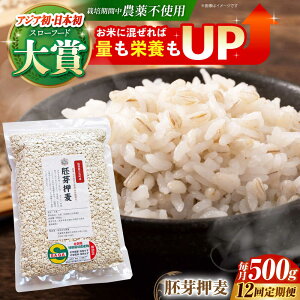 yӂ邳Ɣ[ŁzyS12ցz艟 500g ( 1gp ) ]kY T`zS[f y_z [HAJ036]