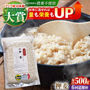 yӂ邳Ɣ[ŁzyS6ցz 500g ( 1gp ) ]kY T`zS[f y_z [HAJ038]