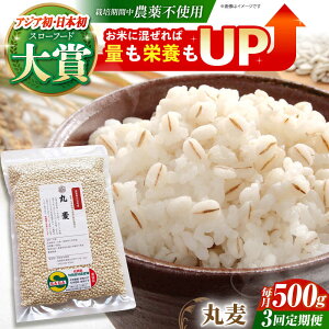 yӂ邳Ɣ[ŁzyS3ցz۔ 500g ( 1gp ) ]kY T`zS[f y_z [HAJ040]