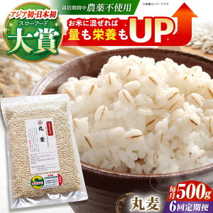 yӂ邳Ɣ[ŁzyS6ցz۔ 500g ( 1gp ) ]kY T`zS[f y_z [HAJ041]