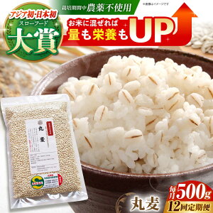 yӂ邳Ɣ[ŁzyS12ցz۔ 500g ( 1gp ) ]kY T`zS[f y_z [HAJ042]