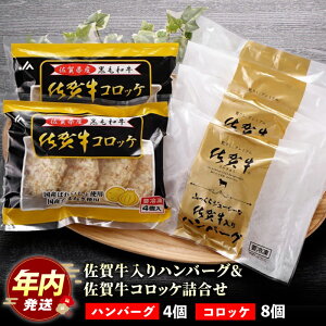 �y�ӂ邳�Ɣ[�Łz�y12/15�����܂ŔN�������z���ꋍ�R���b�P ���ꋍ����n���o�[�O �l���� �yJA���� �n���x���z [HAM023] / �R���b�P �n���o�[�O �������� ���ꋍ �y�� ������ �Z�b�g