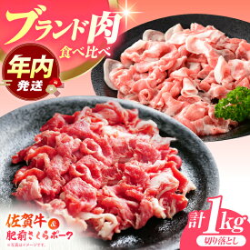 【ふるさと納税】【12/15入金まで年内発送】【毎日の食卓に、佐賀ブランドを。】佐賀の肉 普段使いセット（佐賀牛・肥前さくらポーク） 【JAさが 杵島支所】牛肉 豚肉 しゃぶしゃぶ 肉[HAM078]