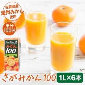 【ふるさと納税】【佐賀県産温州みかん使用】さがみかん100　1L×6本【JAさが 杵島支所】果汁100% 濃縮還元[HAM039]