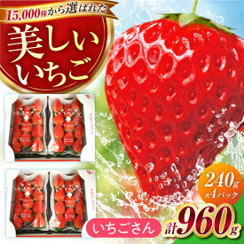 【ふるさと納税】＜1月〜3月発送＞いちごさん 240g×4パック 【JAさが 杵島支所】 [HAM087] / 食品 フルーツ・果物 いちご 苺 イチゴ フルーツ 果物 くだもの 佐賀県 佐賀 九州 送料無料