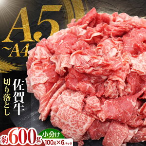 �y�ӂ邳�Ɣ[�Łz���ꋍ �؂藎�Ƃ� 600g �i100g×6�p�b�N�j �yJA���� �n���x���z ���ܐ؂� ���Ԑ؂�[HAM097]
