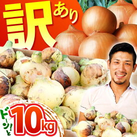 【ふるさと納税】【先行予約】【訳あり】【2026年3月下旬以降発送】佐賀県産 玉ねぎ 10kg【八丁屋】 [HAO007]