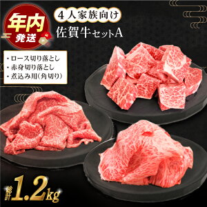 yӂ邳Ɣ[Łzy12/15܂ŔNzꋍ 4lƑ igZbgA ( ؂藎Ƃ p؂ ) yc{YXz [HBH031]