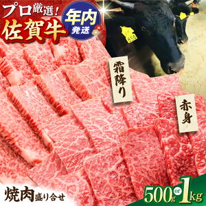 yӂ邳Ɣ[ŁzyΕΏہzyIׂeʁz ꋍ ē 荇킹 ( ~ E Ԑg ) 500g or 1kg yc{YXz[HBH062] /  ēp јa BBQ [X Ԑg ~ Zbg H