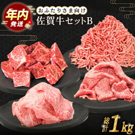 【ふるさと納税】【12/15入金まで年内発送】佐賀牛 おふたりさま向け 普段使いセットB ( 切り落とし 角切り ミンチ ) 【田中畜産牛肉店】 [HBH110]