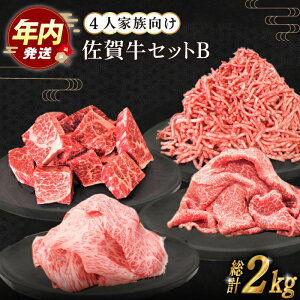 yӂ邳Ɣ[Łzy12/15܂ŔNzꋍ 4lƑ igZbgB ( ؂藎Ƃ p؂ ~` ) yc{YXz [HBH114]