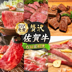 【ふるさと納税】【2度の農林水産大臣賞】＜2ヵ月に1回お届け＞【全6回定期便】佐賀牛 贅沢コース【田中畜産牛肉店】[HBH136] 定期便 黒毛和牛 牛肉 ヒレ ステーキ スライス 焼肉 ローストビーフ 冷凍 送料無料 250000 250000円