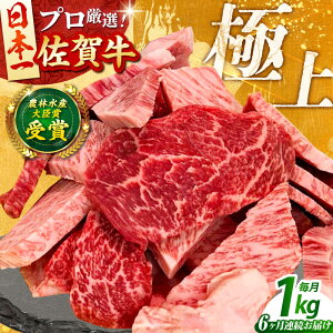 yӂ邳Ɣ[ŁzyS6ցzꋍ ēp ( Jr E Ԑg ) 1kg yc{YXz ꋍ    ؂藎Ƃ[HBH152]