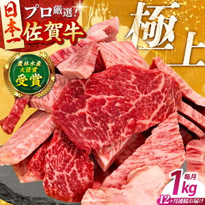 yӂ邳Ɣ[ŁzyS12ցzꋍ ēp ( Jr E Ԑg ) 1kg yc{YXz ꋍ    ؂藎Ƃ[HBH153]
