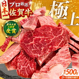 【ふるさと納税】【全3回定期便】佐賀牛 焼肉 切り落とし 500g 【田中畜産牛肉店】 佐賀牛 牛肉 精肉 肉 切り落とし[HBH154]