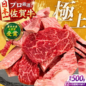 yӂ邳Ɣ[ŁzyS12ցzꋍ ēp ( Jr E Ԑg ) 500g yc{YXz ꋍ    ؂藎Ƃ[HBH156]