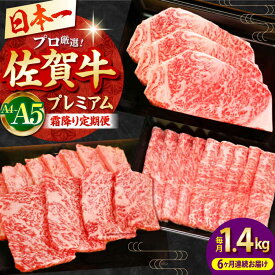 【ふるさと納税】【全6回】佐賀牛 プレミアム霜降り定期便【田中畜産牛肉店】 [HBH026]