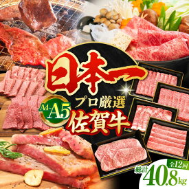 【ふるさと納税】【全12回】佐賀牛 大満喫定期便【田中畜産牛肉店】 [HBH043] / 黒毛和牛 牛肉 肉 定期便 定期 ステーキ 焼肉 冷凍 国産 佐賀県 送料無料 定期 2000000