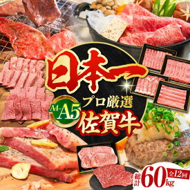 【ふるさと納税】【全12回】佐賀牛 贅沢定期便【田中畜産牛肉店】 [HBH045] / 黒毛和牛 牛肉 肉 定期便 定期 ステーキ スライス ヒレ ハンバーグ 国産 佐賀県 送料無料 冷凍 3000000