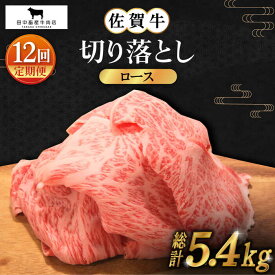 【ふるさと納税】【全12回定期便】佐賀牛 ロース 切り落とし 450g【田中畜産牛肉店】 [HBH068]