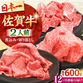 【ふるさと納税】【全12回定期便】佐賀牛 おふたりさま向け 普段使いセットA ( 切り落とし 角切り ) 【田中畜産牛肉店】 [HBH069]