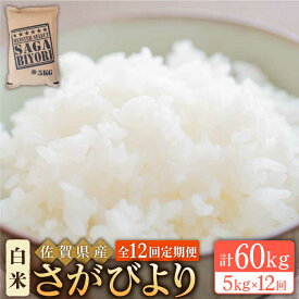 【ふるさと納税】＜13年連続特A評価＞【全12回定期便】令和5年産 さがびより 白米 5kg【大塚米穀店】 [HBL021]