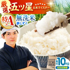 yӂ邳Ɣ[ŁzyS6ցz  10kg i5kg×2܁jy˕čXz[HBL051] /     Hi    A A A]   Y ꌧ ]k 240000 2