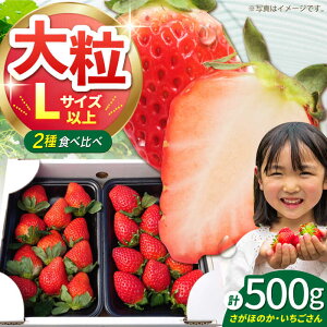 yӂ邳Ɣ[Łzy12`4z_ uEق̂v500gi250g×2pbNjyԍՉʎz [HBN003] /   C`S Hi t[c ʕ   