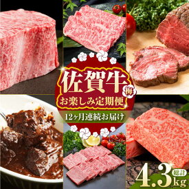 【ふるさと納税】【全12回定期便】毎月お届け！佐賀牛 お楽しみ定期＜梅＞【Trade com 8】 [HBO004] / 定期便 黒毛和牛 食品 精肉 肉加工品 牛肉 セット 詰め合わせ 肉 佐賀県 国産 冷凍 送料無料