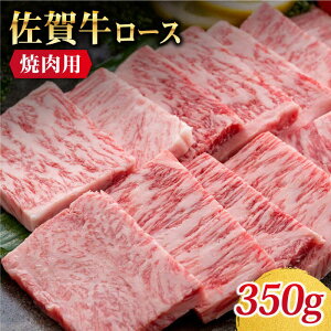 yӂ邳Ɣ[Łzꋍ [X ēp 350gyTrade com 8z [HBO009] / јa a   ē ēp BBQ o[xL[ [X Ⓚ Ⓚ ꌧ B  20000 20000~