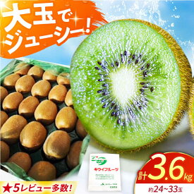【ふるさと納税】【先行予約】佐賀県産 キウイフルーツ（ヘイワード）3.6kg【JAさが】 [HBZ001] / 食品 フルーツ・果物 キウイフルーツ キウイ フルーツ 果物 くだもの 佐賀県 佐賀 九州