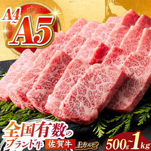 yӂ邳Ɣ[ŁzySL̃uhzꋍ Jr ( 500g / 1kg ) A5 A4  ē Jr | ꌧ ]k |y΂t[Yz[HCS006]