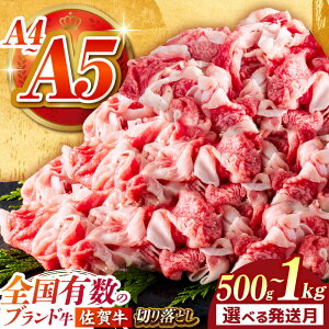 yӂ邳Ɣ[ŁzyIׂzEeʁz ꋍ ؂藎Ƃ 500g or 1kg y΂t[Yz[HCS022] /  ؂藎Ƃ ؂藎Ƃ Hi   јa a A5 a5 A4 a4 A5N Y 