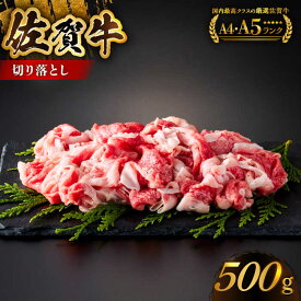 【ふるさと納税】【様々な料理に使いやすい】佐賀牛切り落とし 500g【がばいフーズ】佐賀牛 A5 A4 しゃぶしゃぶ すき焼き 牛丼[HCS022]